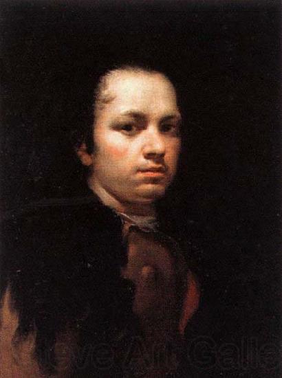Francisco de goya y Lucientes Self-Portrait France oil painting art